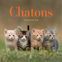 Picture of CALENDRIER CHATONS 2024