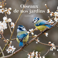 Picture of Calendrier 2027 oiseaux de nos jardins