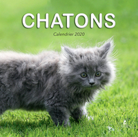 Image de Calendrier Chatons 2020