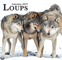 Image de Loups calendrier 2019