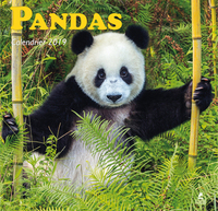 Image de Pandas - Calendrier 2019