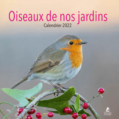 Picture of Oiseaux de nos jardins - Calendrier 2022