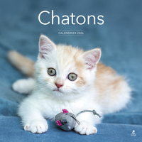 Picture of Calendrier 2026 - Chatons