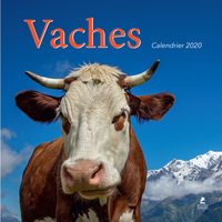 Image de Calendrier Vaches 2020