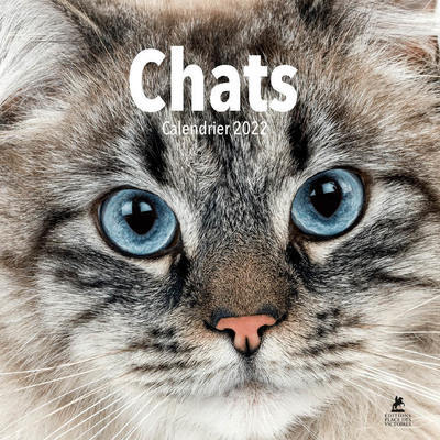 Picture of Chats - Calendrier 2022
