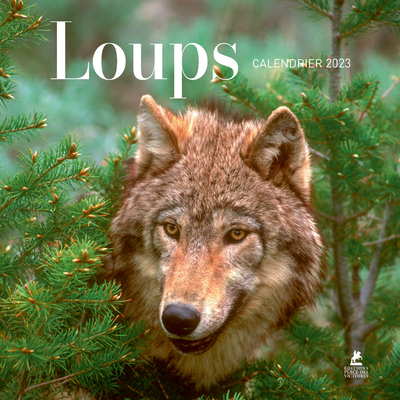 Picture of Loups - Calendrier 2023