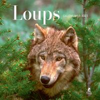 Picture of Loups - Calendrier 2023