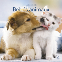 Image de Calendrier 2026 - Bébés Animaux