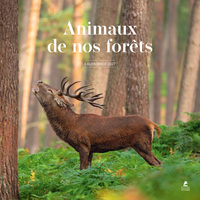 Picture of Calendrier 2027 animaux de nos forêts