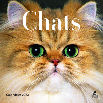 Picture of Calendrier Chats - Calendrier 2023