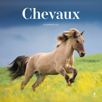 Picture of Calendrier 2027 chevaux