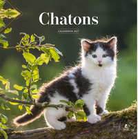 Picture of Calendrier 2027 chatons