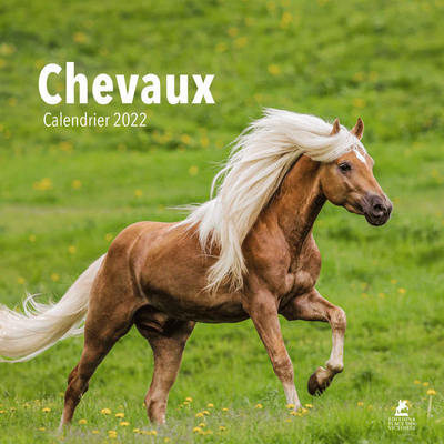 Picture of Chevaux - Calendrier 2022