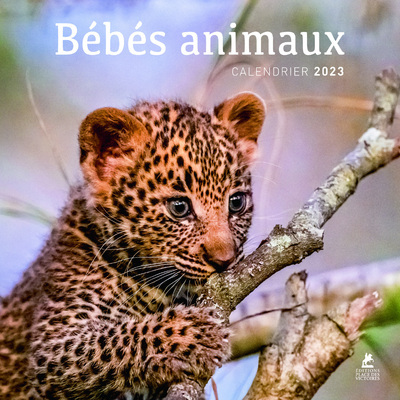Picture of Bébés animaux - Calendrier 2023