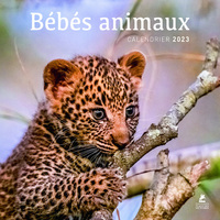 Picture of Bébés animaux - Calendrier 2023