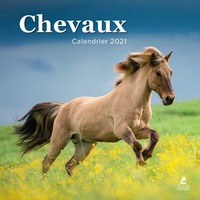 Image de Chevaux - Calendrier 2021