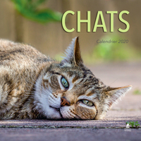 Image de Calendrier Chats 2020