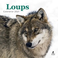 Image de Loups - Calendrier 2021
