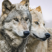 Image de Calendrier 2026 - Loups