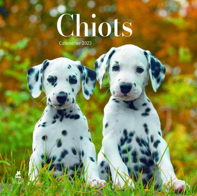 Picture of Chiots - Calendrier 2023