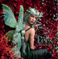 Picture of Calendrier Fées 2024