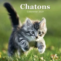 Image de Chatons - Calendrier 2021