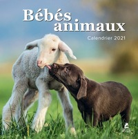 Image de Bébés animaux - Calendrier 2021