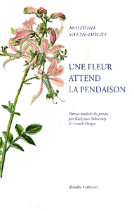 Picture of Une fleur attend la pendaison
