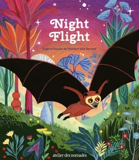 Image de Night Flight