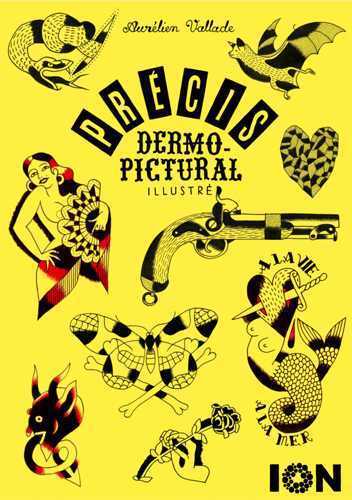 Image de Précis dermo-pictural illustré