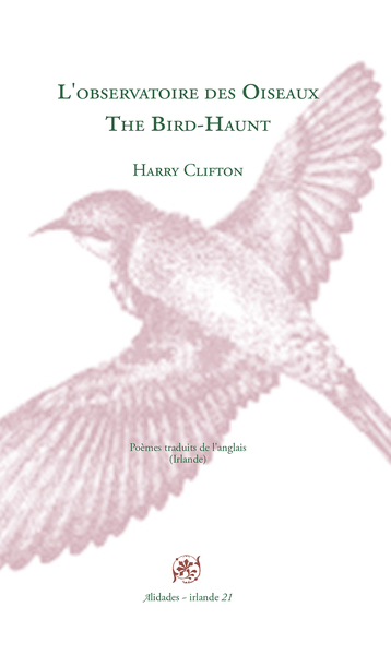 Picture of L'observatoire des oiseaux