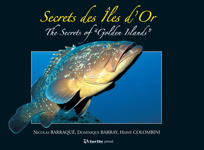 Image de Secrets des îles d'Or