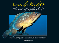 Image de Secrets des îles d'Or