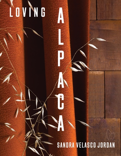Picture of LOVING ALPACA
