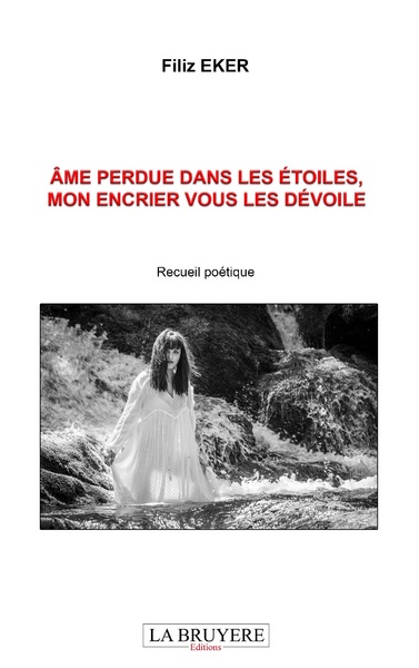 Image de ÂME PERDUE DANS LES ETOILES, MON ENCRIER VOUS LES DEVOILE