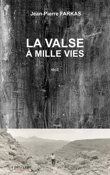 Picture of LA VALSE A MILLE VIES