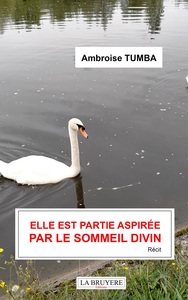 Picture of ELLE EST PARTIE ASPIREE PAR LE SOMMEIL DIVIN