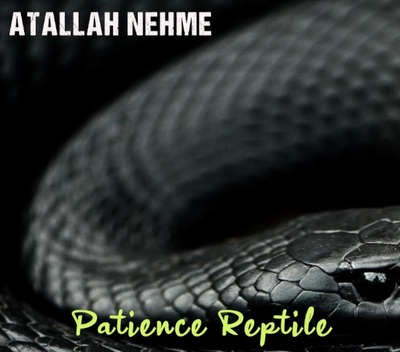 Image de PATIENCE REPTILE