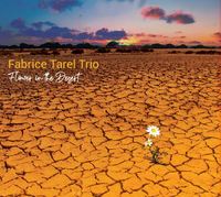 Image de FLOWER IN THE DESERT