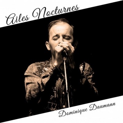 Picture of AILES NOCTURNES