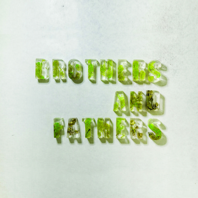 Picture of BROTHERS / FATHERS // HYDRANGEAS