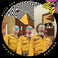 Image de PILLS FOR TECHNO SAPIENS