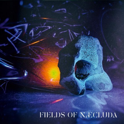 Picture of FIELDS OF NÆCLUDA