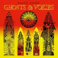 Picture of GHOSTS / VOICES
