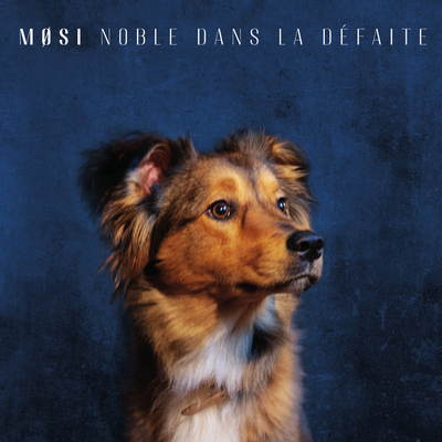 Image de NOBLE DANS LA DEFAITE