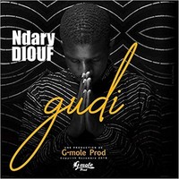 Picture of GUDI