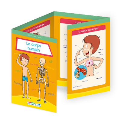 Image de Le corps humain