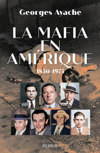Image de La mafia en Amérique
