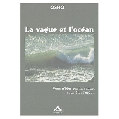 Image de Vague et locéan La  vous nêtes pas la vague vous êtes locéan