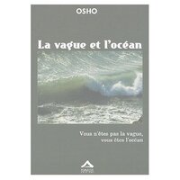 Image de Vague et locéan La  vous nêtes pas la vague vous êtes locéan